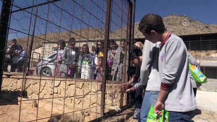 Harçlıklarıyla aldıkları mamalarla köpekleri beslediler - BİTLİS