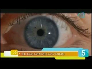 Las 5 maravillas del día