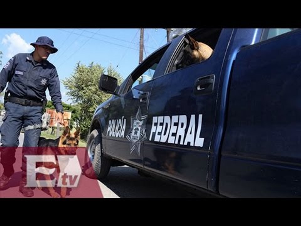 Cae en Cocula "El Ramoncito", sicario de Guerreros Unidos / Paola Virrueta