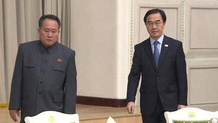리선권 "평화 새시대"...조명균 "평화 가꾸자" / YTN