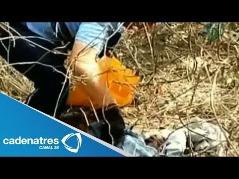 Van 23 cadáveres hallados en tres fosas clandestinas en Morelos