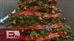Decorar tu árbol de navidad con Feng Shui / Excélsior Informa