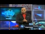 Predicciones para Tauro en el 14 de febrero / Horóscopos para el 14 de febrero