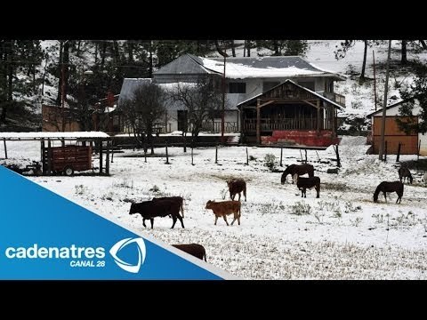 Diversas entidades luchan contra las bajas temperaturas