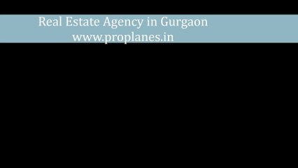 Real Estate Agency in Gurgaon