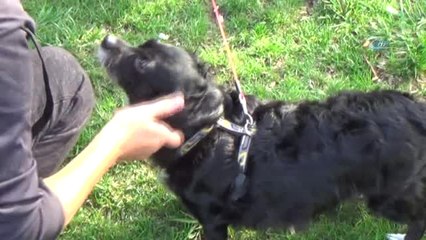 Çocuklar Hayvanlarla Mutlu Pati Şenliği'nde Buluştu