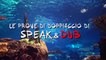 Alla ricerca di Nemo - Le prove di Doppiaggio di Speak&Dub
