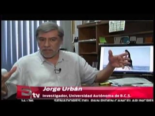 La mineria submaria en el Golfo de Ulloa afectara la pesca /Excelsior en la media