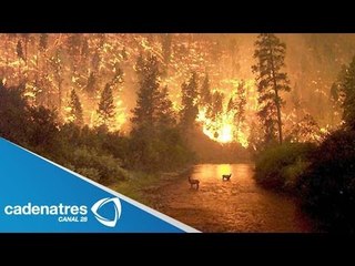 Fuerte incendio azota comunidad de Estados Unidos / Strong community fire plaguing U.S.