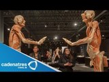 Museo del Universum exhibe la exposición de Body Worlds