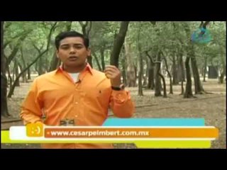 Hoy rige 'El caballo de agua'