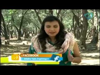 Decreto de hoy para invocar al arcángel de la cábala