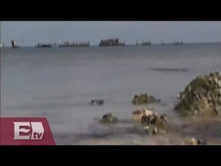 Campeche se encuentra en peligro de contaminación/ Excélsior informa