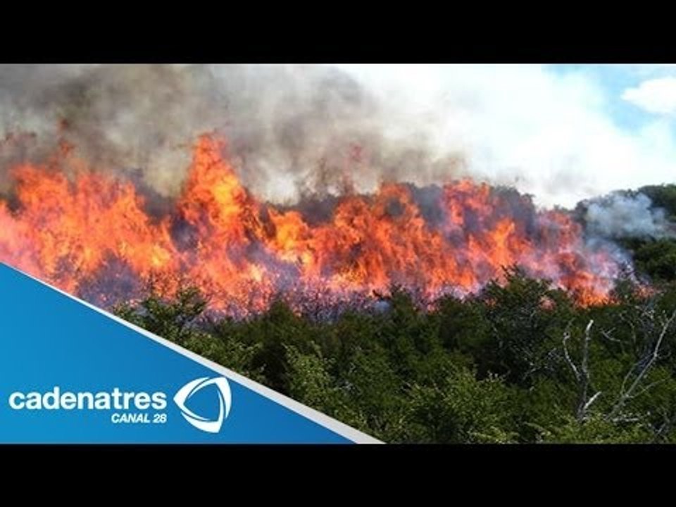 Incendio forestal consume 100 hectáreas de La ventosa