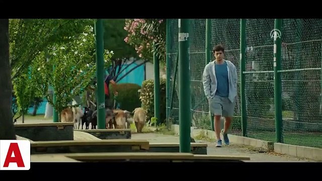 Organize İşler 2’den ilk fragman yayaınlandı