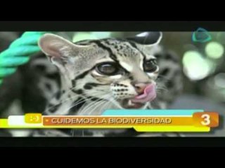 Los museos más extraños del mundo / Las 5 maravillas del día