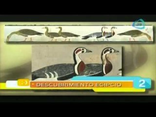 Las cinco maravillas del día 07 de abril 2015