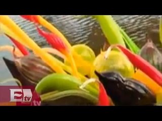 Jardín Botánico de Florida decorado con vidrio soplado/Global