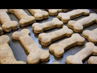 Diviértete cocinando unas ricas galletas para tu perro