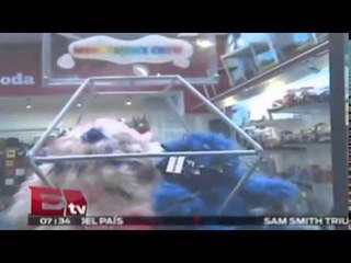 Mitos y Ritos: Muñecos de peluche personalizados / Vianey Esquinca