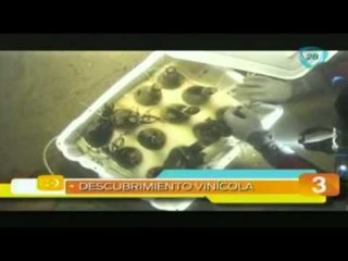 Las cinco maravillas del día 22 de abril 2015