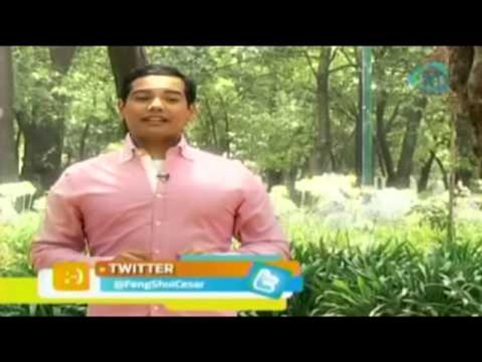 ¿Cómo tener un día de amor y romanticismo?