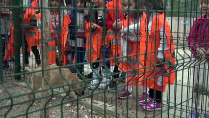 200 anaokulu öğrencisi can dostları ile buluştu