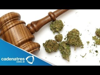 Perredistas llevarán al senado su iniciativa sobre la mariguana