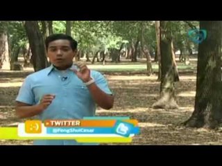 Cómo evitar los conflictos