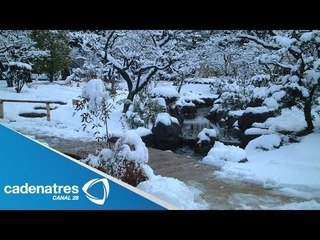Fuertes nevadas de Japón deja 19 muertos / Heavy snow leaves 19 dead in Japan