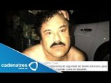 Enrique Peña Nieto confirma la captura de 'El Chapo Guzmán'