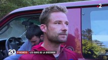 Pyrénées : la réintroduction d'ours fait débat