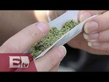 Advierten sobre incremento en consumo de marihuana / Excélsior Informa
