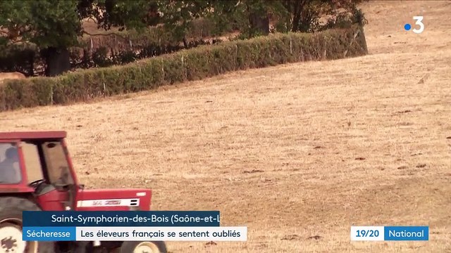 Sécheresse : les éleveurs français se sentent oubliés