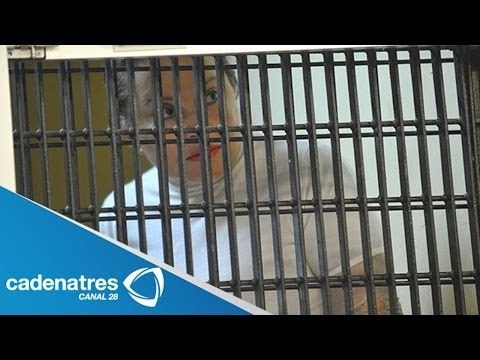 Elba Esther Gordillo cumple un año tras las rejas / Elba tras las rejas