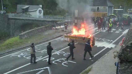 Der Bär ist los: Französische Viehzüchter protestieren gegen Wiederansiedlung