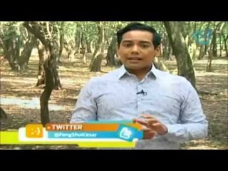 Horoscopo Chino: Hoy rige la cabra de agua