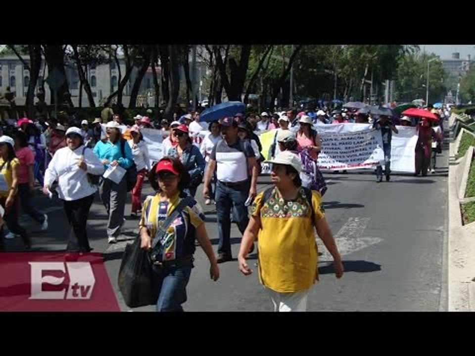 Marcha de agricultores en paseo de la Reforma / Comunidad