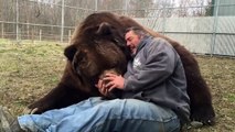 Voici Jimbo et Jim... Belle amitié entre un ours énorme et un homme