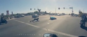 Un motard fait une énorme chute en essayant de fuir en plein road rage
