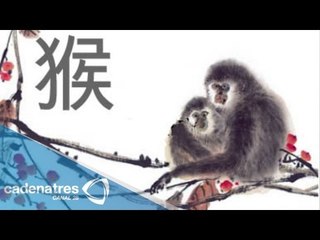 Horóscopo chino: Descubre qué te dice el buey de madera en un día como hoy 17 de agosto