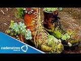 Elaboran macetas con zapatos viejos en Guanajuato
