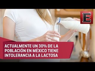 Punto y coma: Mitos y realidades del consumo de lácteos