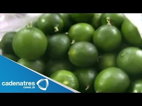 Precio del limón pasó de 10 pesos a 50 pesos en días; Profeco vigilará costo del producto