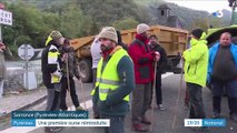Pyrénées : une première ourse réintroduite