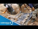Analizan restos humanos hallados en fosa clandestina en Michoacán