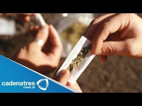 PRD presenta iniciativa federal para regular consumo de marihuana