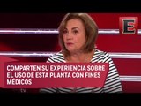 Expertos debaten sobre la mariguana medicinal en Cannabisalud