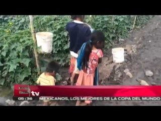 Sin vida digna jornaleros mexicanos / Vianey Esquinca