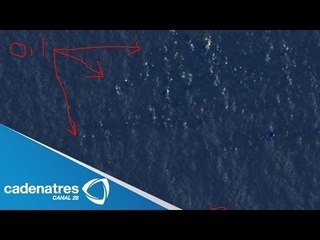 Courtney Love asegura haber encontrado avión malasio desaparecido